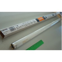 Лампа люм. 36 L 36W/865 LUMILUX OSRAM смол. 4008321581433