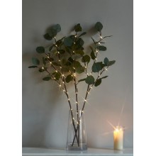 Ветвь иммитация эвкалипта 62см 32LED тепл. бел. IP44 6ч таймер кабель 50см КОСМОС KOC_INT-B131