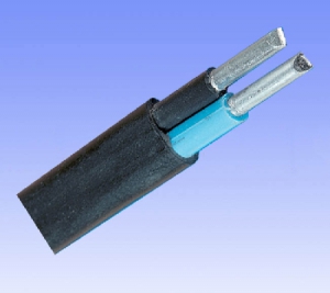 Клей обувной 30 мл/блистер TDM