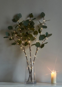 Ветвь иммитация эвкалипта 62см 32LED тепл. бел. IP44 6ч таймер кабель 50см КОСМОС KOC_INT-B131
